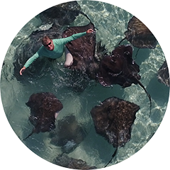 Southern Stingray Census And Monitoring