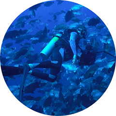 Nassau Grouper Spawning Aggregation Documentation